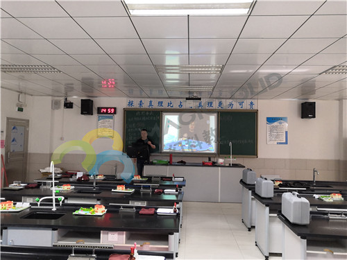 廣東省深圳市龍崗天成學校_副本.jpg
